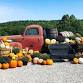 5th annual Tall Pines Fall Festival!