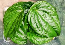 Cara lain untuk menghilangkan bekas gigitan nyamuk adalah dengan menggunakan air perasan jeruk lemon. Cara Hilangkan Kahak Bayi Selamat Mak Ayah Boleh Try