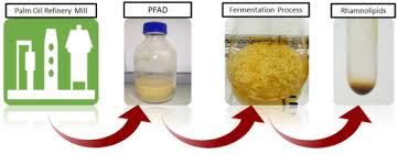 We make good food taste better. Production And Characterization Of Rhamnolipid Using Palm Oil Agricultural Refinery Waste Sciencedirect