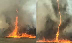 As the flames approached homes near oakford, about 35 kilometres south of perth's city centre, in an. Australia S Fire Crisis Devastating Firenado In Perth As Bushfires Continue Across The County Daily Mail Online