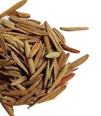 Image result for Holarrhena