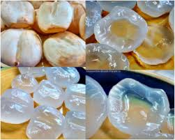 Vietnamese Sugar Palm Thot Not Palmyra Fruit Fruity Fruit
