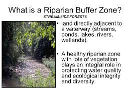 Riparian Zones A Line Of Defense Vital To Healthy Rivers Streams Coe Lake Outdoor Science Education Life Science Unit Ppt Download
