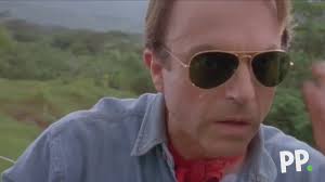 @paddypower's video Tweet