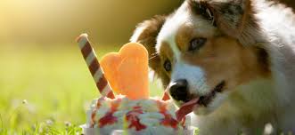 No, strawberry ice cream is not safe for dogs since it contains milk. Strawberry Ice Cream Dog Treat Recipe Healthy Perspectives