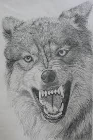 A Wolf I Drew With Graphite On Cheap Copier Paper Wolf Sketch Pencil Drawings Of Animals Wolf Drawing