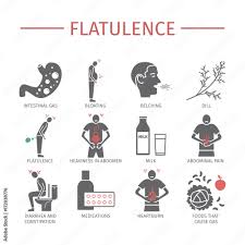Image result for Flatulence
