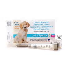 4 ways to find cheaper puppy vaccinations. Canine Spectra 6 Dog Vaccine With Parvo And Coronavirus Jeffers Pet