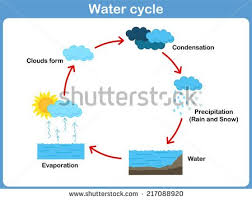 10 Basic Water Cycle Diagram Blank Diy Enthusiasts Wiring