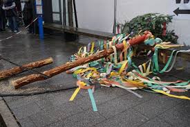 In wernau haben die narren die macht übernommen. Der Narrenbaum In Wernau Ist Umgekippt Und Musste Zersagt Werden Eine Person Wurde Verletzt Esslinger Zeitung
