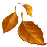 We did not find results for: Fallen Leaf Emoji Meaning Copy Paste
