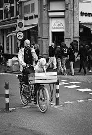 Pin By Brian Wood On Front Carry Bicycle Dogs Biking With Dog Bull Terrier English Bull Terriers