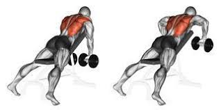 Become a lingolia plus member to access these additional exercises. Pin Auf Health