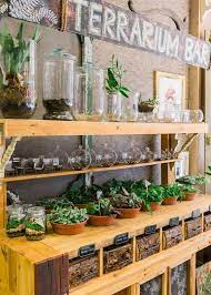 via east and lane flower shop interiors flower shop design terrarium decor