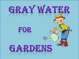Particularly with lawns this is the best time to water as night watering can increase the amount of. Gray Water Is It Safe For The Garden Garden Myths