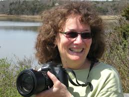 Past Resident Artists