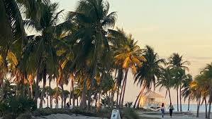 Nicolette Price (nicolettepricem)