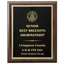 Image result for Plaque