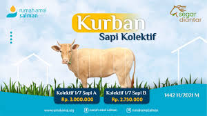 Antara amanah yang dipikul ialah membeli binatang yang cukup syarat dan sempurna, meniatkan, menyembelih dan mengagihkan daging qurban menurut hukum yang telah ditetapkan oleh syarak. Kurban Sapi Kolektif Rumah Amal Salman
