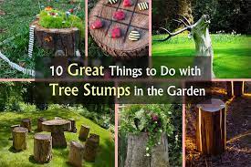 Tree stump removal is the last part of removing a tree. 10 Amazing Tree Stump Ideas For The Garden Balcony Garden Web