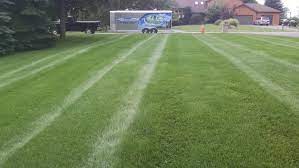 Tlc originated in the rio grande valley in 2000 and recently started a second branch in san antonio. Tlc Organic Lawn Care