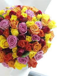 Un Joli Bouquet De 100 Roses Milticolores Livraison Fleurs Hibiscus Fleurs Hibiscus