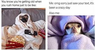 14 Highly Relatable Memes About Dogs in Bed After a Long Day - I Can Has  Cheezburger?