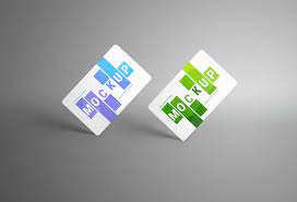 Download Bank Card Or Gift Card Mockup Psd Free Mockups Best Free Psd Mockups Apemockups
