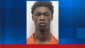 Monkey hit by car days after escaping zoo, officials say