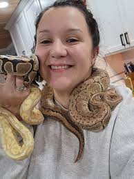 My beautiful Candy corn snake.