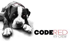 To redeem gift redemption codes in state of survival, go to your base and press your profile icon in the top left corner. Code Red K9 Crew