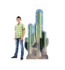 Concrete cactus ring stand / garden decor / paper weight / garden memorial / cacti decor / desert decor / ring holder / statue formandroot 5 out of 5 stars. Advanced Graphics 584 Cactus Pair Life Size Cardboard Stand Up Walmart Com Walmart Com