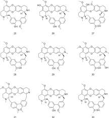 Image result for Tiliacora funifera