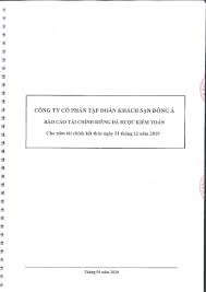 báo cáo tài chính riêng đã được kiểm toán