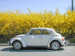 Image result for Rallye Yellow 1976 Beetle