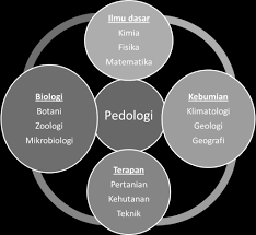 Bahan organik adalah seluruh senyawa karbon yang berada didalam tanah, baik berasal dari tanaman, hewan maupun mikroorganisme yang telah mati. Http Geo Fish Unesa Ac Id Berkas Geotanah Pdf
