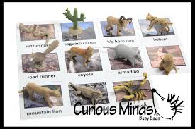 Check spelling or type a new query. Animal Match Desert Miniature Animals With Matching Cards 2 Part Curious Minds Busy Bags