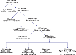 Maybe you would like to learn more about one of these? Surgical Management Of Acute Pancreatitis In Italy Lessons From A Prospective Multicentre Study Hpb