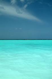 It S Such Clear Blue Water Can I Please Be There Ocean Beautiful Beaches Beautiful Places