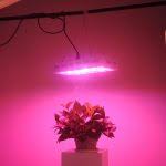 1 maxsisun 300w led complete analysis. Maxsisun Dimmable 300w 12 Band Full Spectrum Led Review Is It Really That Good