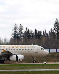 Image result for etihad airbus crash