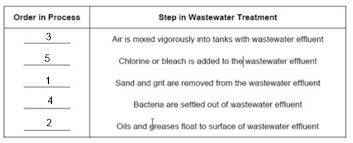Wastewater Treatment Activity Darius Apes