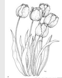 Tulpen Blumenzeichnung Blumen Zeichnung Blumenmalvorlagen