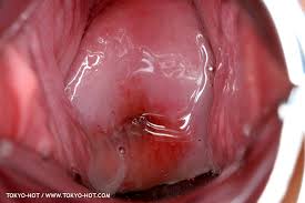 片山莉乃-rino katayama｜子宮画像館