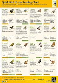 Bird Id And Feeding Chart Common Garden Birds Bird
