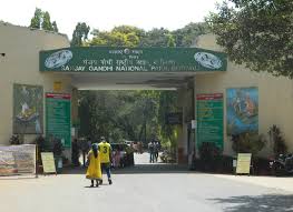 Sanjay Gandhi National Park – Kaziranga ...