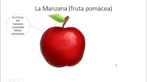 Mantener tu cuerpo limpio es una parte importante para estar sano y ayudarte a sentirte mejor contigo tener unos buenos hábitos de higiene es más que solo lavarse las manos. Como Hacer Una Infografia Youtube