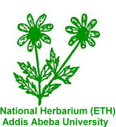 Image result for Merremia pterygocaulos