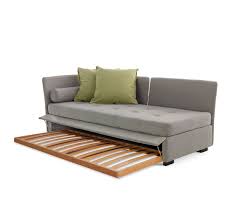 Image result for isolona