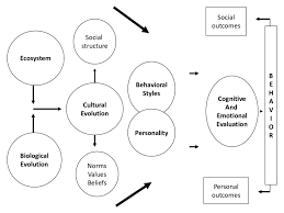 Romantic relationship quotes for new couples. Schematic Depiction Of The Bio Psycho Socio Cultural Couple S Download Scientific Diagram